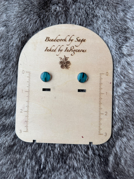 Turquoise Porcupine Quill Studs